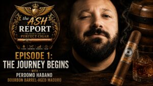 Ash report episode 1